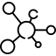 The genotype-phenotype correlation